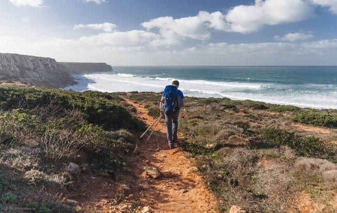 Hiking path on sunny coastal cliffs overlooking the Atlantic Ocean on the Rota Vicentina in Portugal